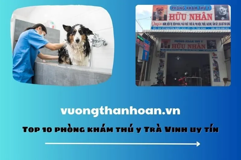 Top 10 phòng khám thú y Trà Vinh uy tín
