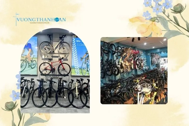 Cửa hàng bán xe đạp Trà Vinh uy tín