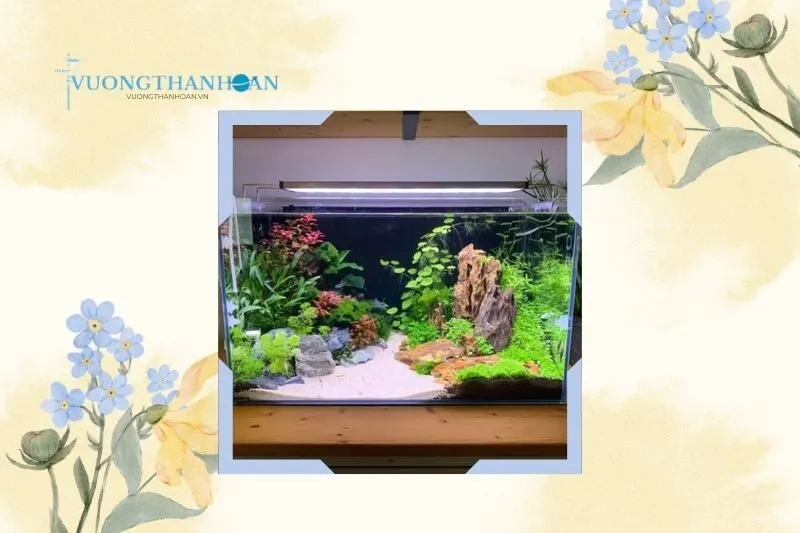 Cửa hàng cá cảnh Tân Thành