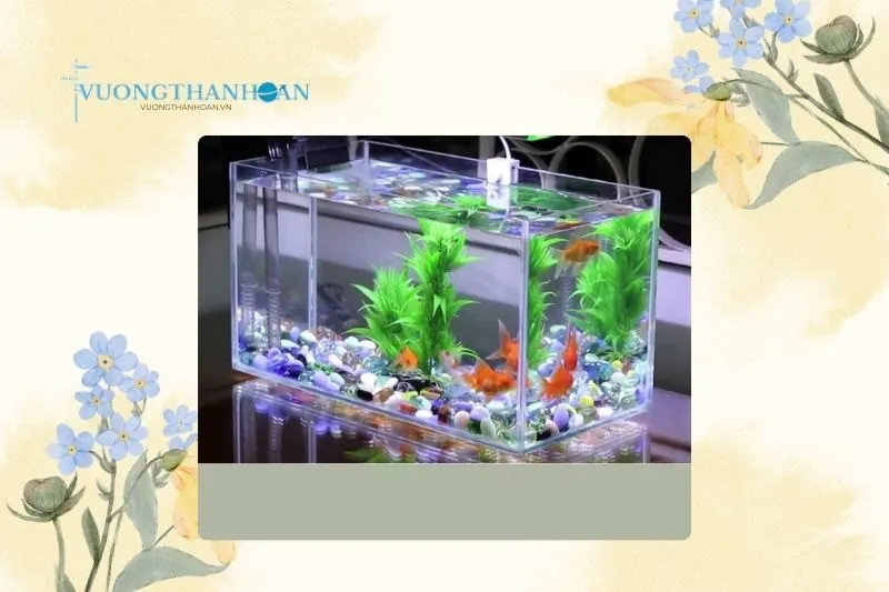 Cửa hàng cá cảnh Thanh Tùng