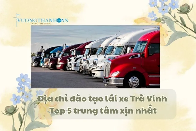Địa chỉ đào tạo lái xe Trà Vinh – Top 5 trung tâm xịn nhất 2025
