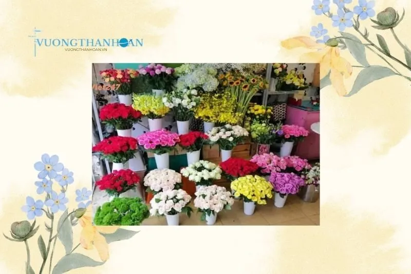 Hoa Tươi Tiên Nguyễn Trà Vinh