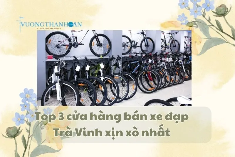 Top 3 cửa hàng bán xe đạp Trà Vinh xịn xò nhất 2025