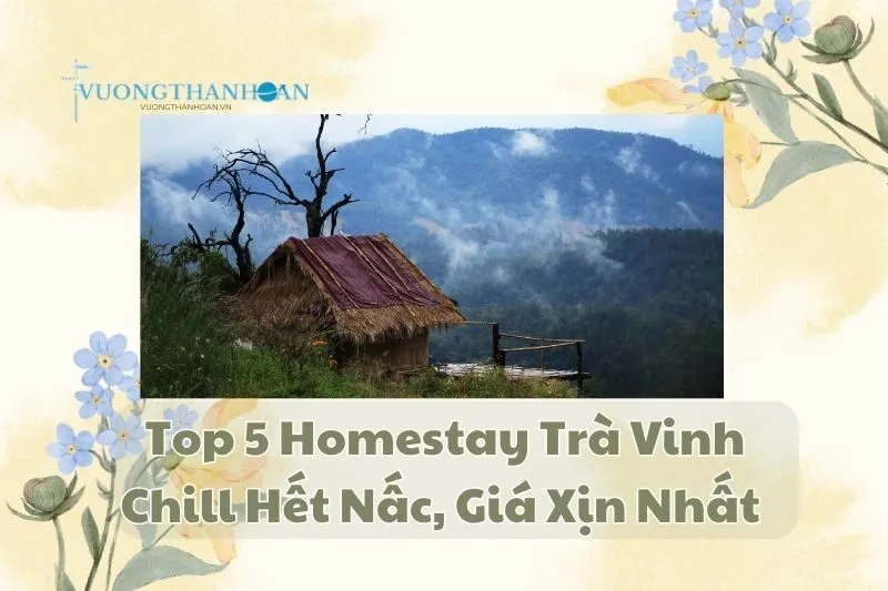Top 5 Homestay Trà Vinh Chill Hết Nấc, Giá Xịn Nhất 2025