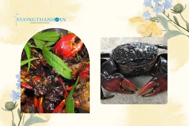 Cách Chế Biến Chù Ụ Rang Me Trà Vinh Ngon Đúng Điệu