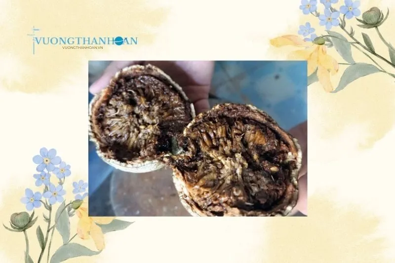 Cách Sử Dụng Trái Quách Trà Vinh Trong Ăn Uống Và Điều Trị