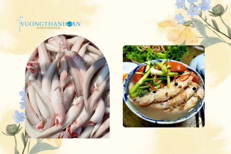 Cháo Cá Khoai Trà Vinh là gì?