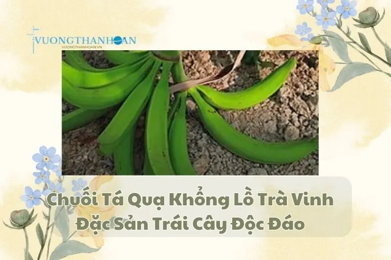 Chuối Tá Quạ Khổng Lồ Trà Vinh - Đặc Sản Trái Cây Độc Đáo