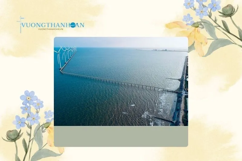 Điện gió Duyên Hải Trà Vinh có gì đặc biệt?