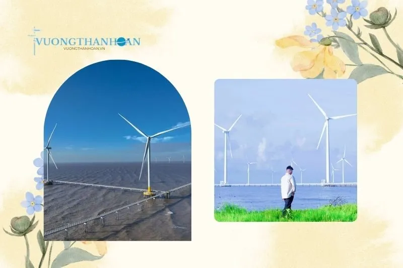 Điện gió Duyên Hải Trà Vinh là gì? Tổng quan và ý nghĩa