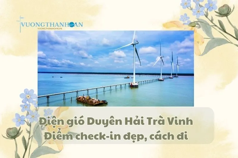 Điện gió Duyên Hải Trà Vinh: Điểm check-in đẹp, cách đi