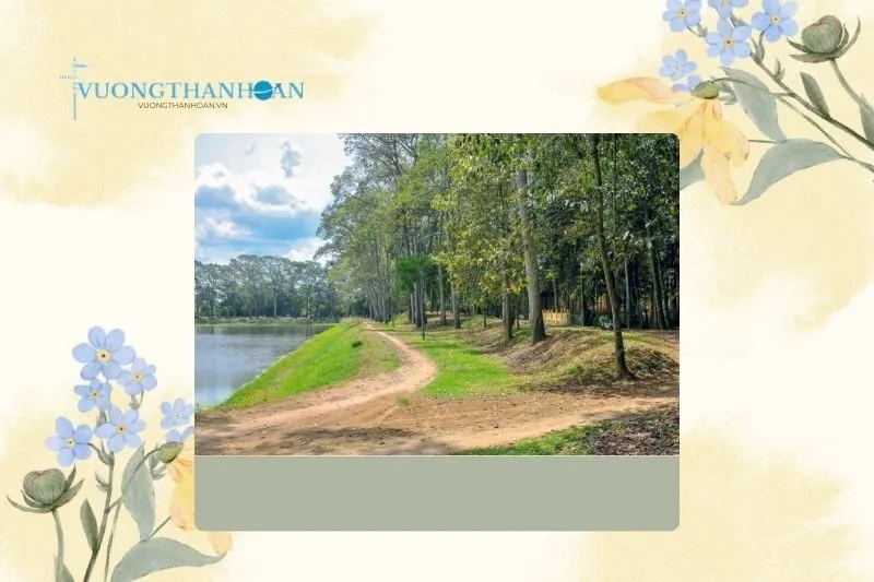 Khám phá vẻ đẹp thiên nhiên tại Ao Bà Om Trà Vinh