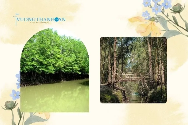 Khu du lịch Rừng Đước Trà Vinh ở đâu? Hướng dẫn di chuyển chi tiết