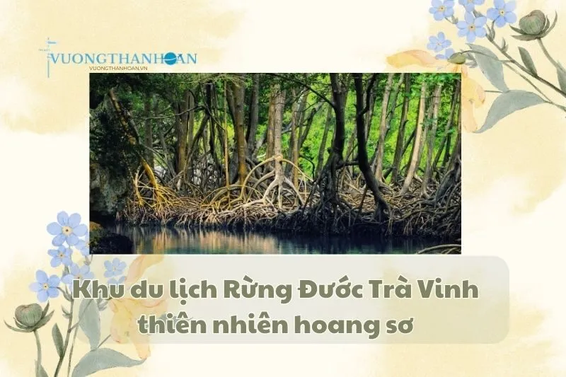 Khu du lịch Rừng Đước Trà Vinh: thiên nhiên hoang sơ