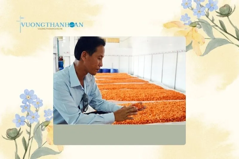 Quy trình chế biến Tôm khô Vinh Kim Trà Vinh - Từ nguyên liệu đến thành phẩm