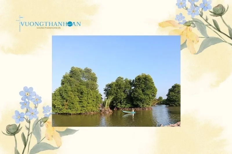 Rừng ngập mặn ven biển – Hệ sinh thái đa dạng của Trà Vinh