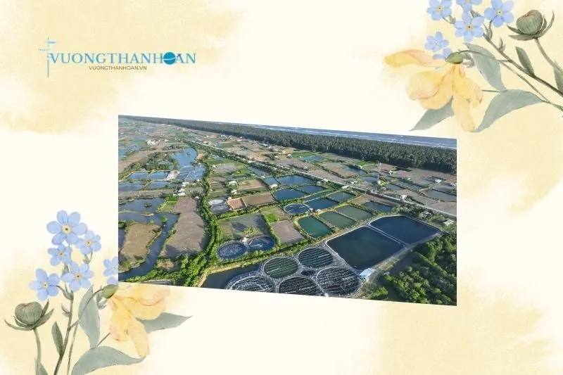 So sánh điện gió Duyên Hải Trà Vinh với các cánh đồng điện gió khác