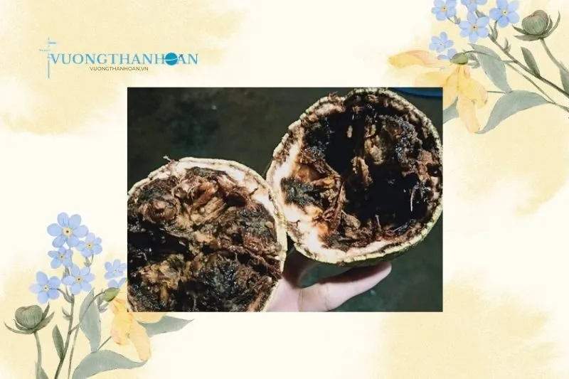 Trái Quách Trà Vinh Và Những Món Ăn Đặc Sản