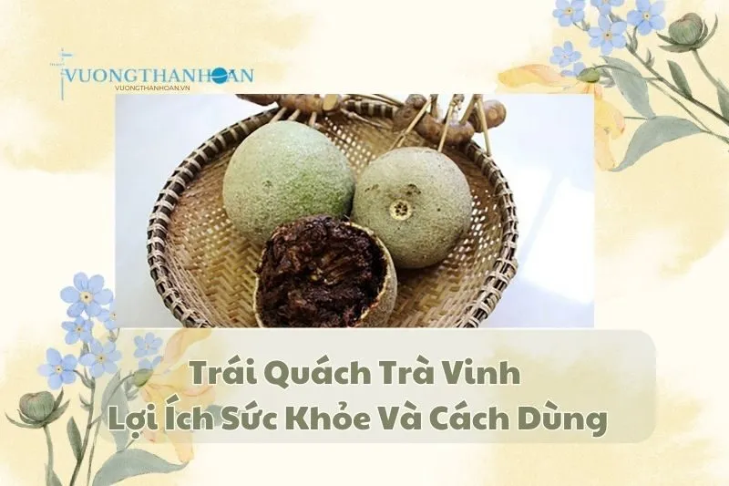 Trái Quách Trà Vinh: Đặc Sản, Lợi Ích Sức Khỏe Và Cách Dùng